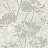 Обои Carl Robinson Edition 15 CR77908