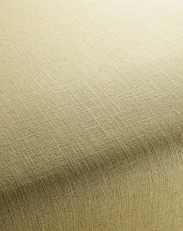 Ткань Chivasso Carlucci di Chivasso Two-Tone vol.2 CA7655/035