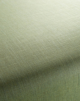 Ткань Chivasso Carlucci di Chivasso Two-Tone vol.2 CA7655/038