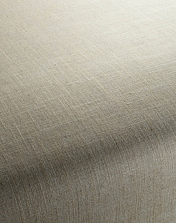 Ткань Chivasso Carlucci di Chivasso Two-Tone vol.2 CA7655/178