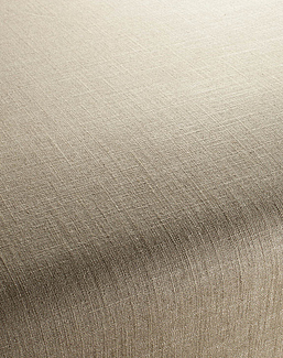 Ткань Chivasso Carlucci di Chivasso Two-Tone vol.2 CA7655/174