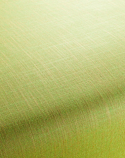 Ткань Chivasso Carlucci di Chivasso Two-Tone vol.2 CA7655/134
