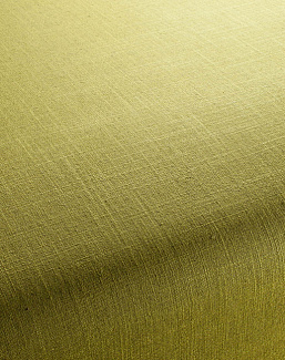 Ткань Chivasso Carlucci di Chivasso Two-Tone vol.2 CA7655/034