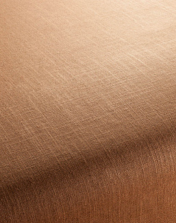 Ткань Chivasso Carlucci di Chivasso Two-Tone vol.2 CA7655/068