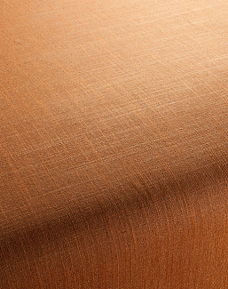 Ткань Chivasso Carlucci di Chivasso Two-Tone vol.2 CA7655/067