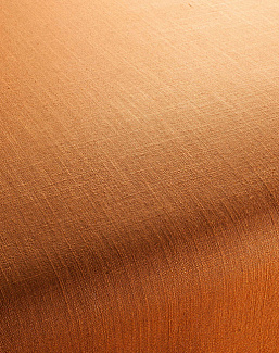 Ткань Chivasso Carlucci di Chivasso Two-Tone vol.2 CA7655/161