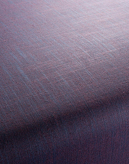 Ткань Chivasso Carlucci di Chivasso Two-Tone vol.2 CA7655/085