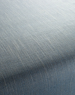 Ткань Chivasso Carlucci di Chivasso Two-Tone vol.2 CA7655/051