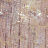 Обои 1838 Wallcoverings Aurora 1804-118-05
