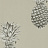 Обои Sanderson Art of the Garden 216323