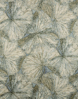 Ткань Zoffany The Muse 322646