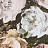 Обои Clarke & Clarke Botanica W0090-02