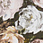 Обои Clarke & Clarke Botanica W0090-02