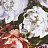 Обои Clarke & Clarke Botanica W0090-03