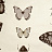 Обои Clarke & Clarke Botanica W0094-01