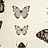Обои Clarke & Clarke Botanica W0094-01