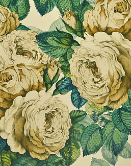 Обои Designers Guild John Derian - Picture Book PJD6002-01
