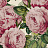 Обои Designers Guild John Derian - Picture Book PJD6002-02