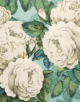 Обои Designers Guild John Derian - Picture Book PJD6002-03