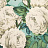 Обои Designers Guild John Derian - Picture Book PJD6002-03