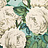 Обои Designers Guild John Derian - Picture Book PJD6002-03