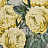 Обои Designers Guild John Derian - Picture Book PJD6002-05