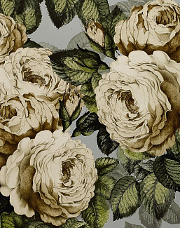 Обои Designers Guild John Derian - Picture Book PJD6002-06