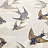 Обои Designers Guild John Derian - Picture Book PJD6003-04