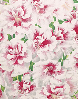 Обои Designers Guild John Derian - Picture Book PJD6004-01