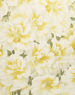 Обои Designers Guild John Derian - Picture Book PJD6004-03