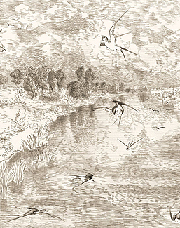 Панно и фотообои Skandi Wall Collection 1 H10171