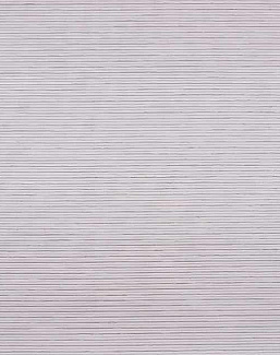 Обои Phillip Jeffries Tailored Walls 5939