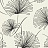Обои Architector Black & White 1302410