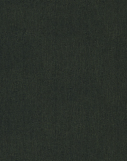 Обои Casamance Blossom B72342374