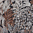 Обои Casamance Blossom 74320528