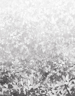Обои Paint & Paper Library Botany 0360FOPERSE