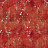 Обои Crocus Collection 2 Marisa Rosso