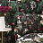 Обои Witch & Watchman Wallpaper Collection Amazonia Dark