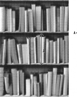 Обои Koziel Volume 2 8888-81