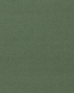 Ткань Morris & Co Wardle Velvets 237302