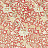 Ткань Morris & Co Emery Walker’s House 227025