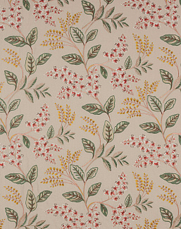 Ткань Colefax and Fowler Ashdown F4819/03