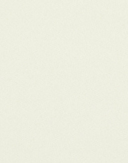 Ткань Loro Piana I Cashmere A3699RS/14