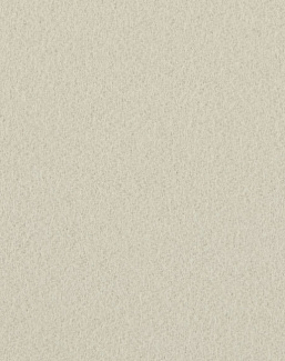 Ткань Loro Piana I Cashmere A3699RS/15
