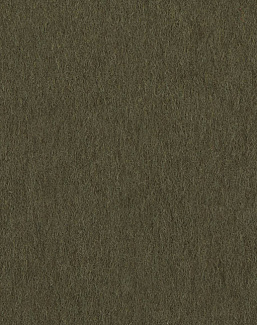Ткань Loro Piana Le Lane Pregiate Vol.2 A3040RS/17