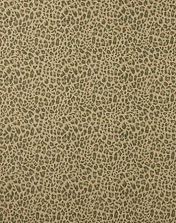 Ткань Colefax and Fowler Chester F4854/05