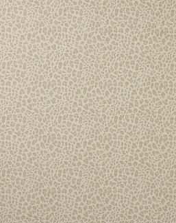 Ткань Colefax and Fowler Chester F4854/04