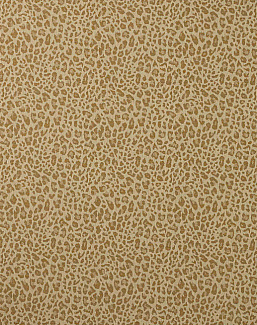 Ткань Colefax and Fowler Chester F4854/06