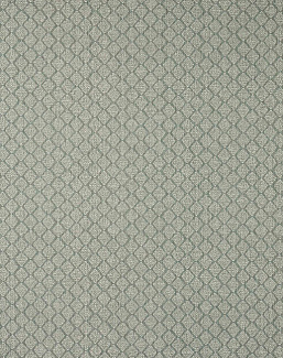Ткань Colefax and Fowler Chester F4850/03