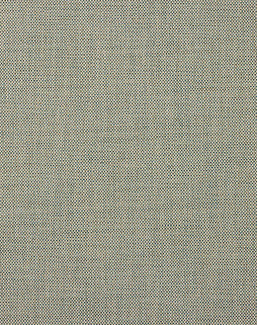 Ткань Colefax and Fowler Chester F4853/08